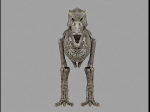 skel rex 3D Model