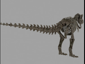 skel rex 3D 模型