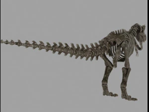 skel rex 3D Model