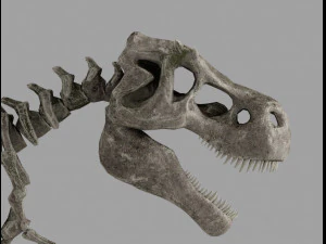skel rex 3D Model