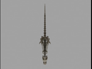skel rex 3D 模型
