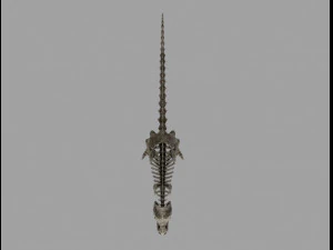 skel rex 3D Model