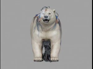 sopportare latko Modello 3D