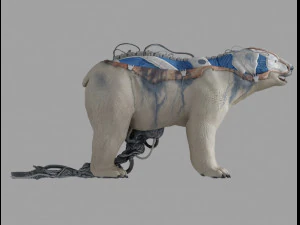 sopportare latko Modello 3D