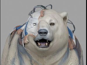 sopportare latko Modello 3D