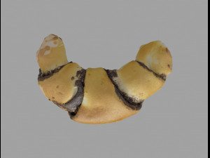 bakery6 3D Model