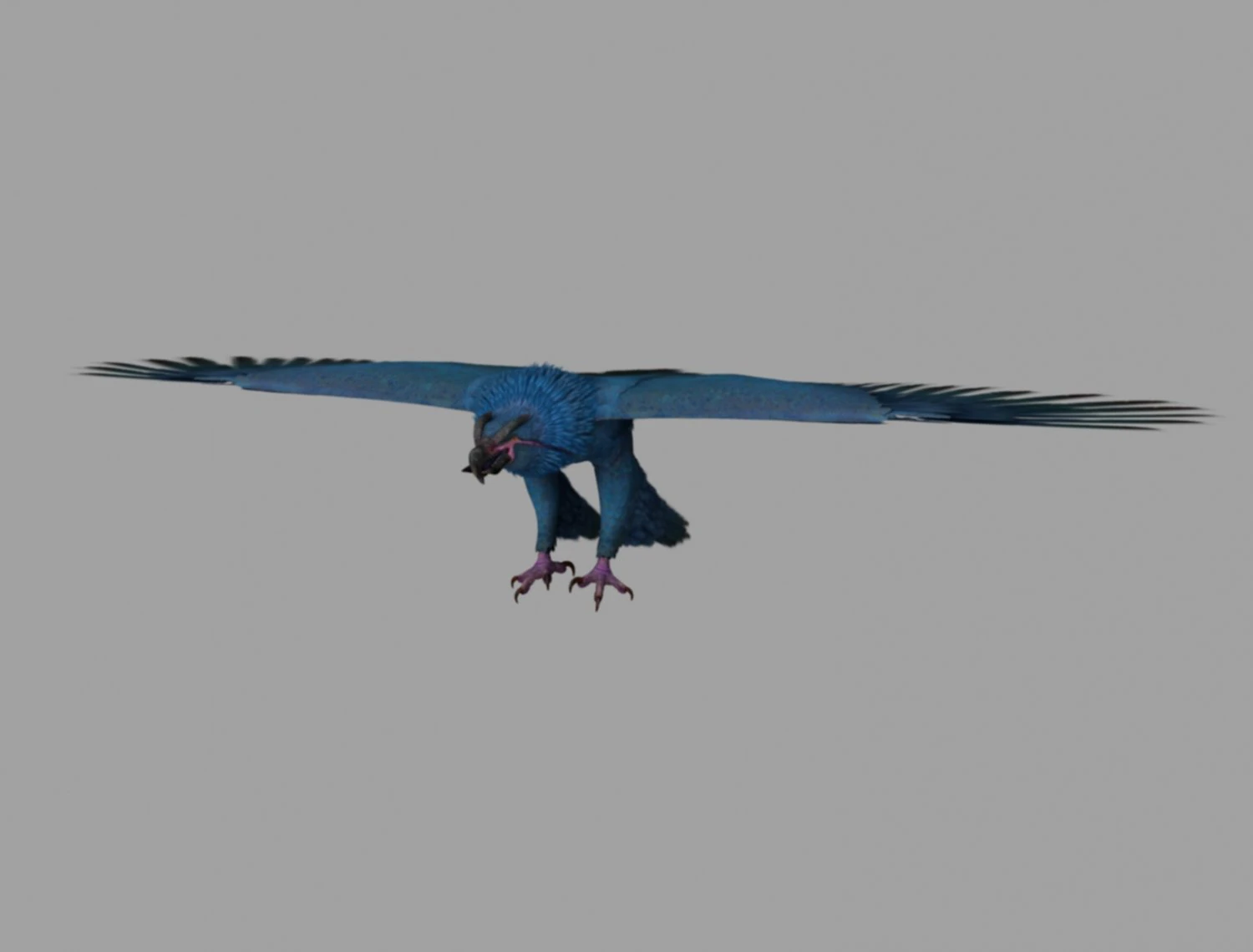 griffon 3D Model .c4d .max .obj .3ds .fbx .stl .blend 