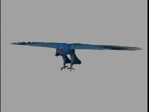 griffon Model 3D