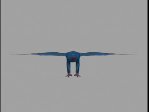 griffon 3D 모델