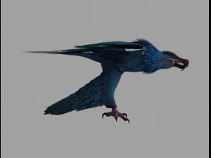griffon 3D 모델