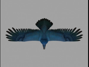 griffon 3D 모델