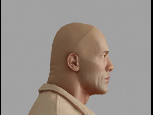 the rock 3D Model