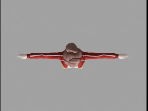 aoiasahina Model 3D