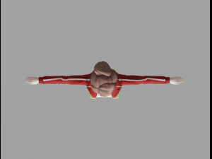 aoiasahina 3D Model