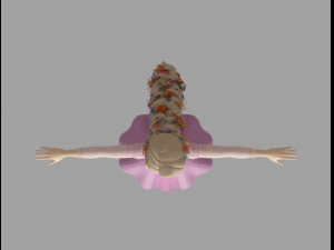 rapunzel braid 3D Модель