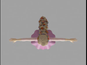 rapunzel braid 3D Model