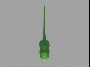 Pascal Model 3D