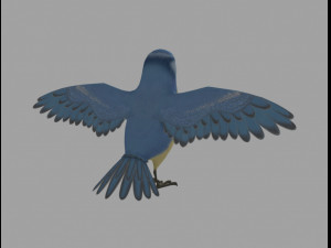 tangled bird Modelo 3D