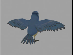 tangled bird 3D Model