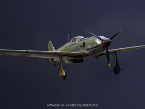 FIGHTER PLANE Free 3D 모델