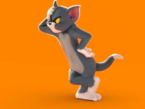 Tom rig a basso numero di poligoni Modello 3D