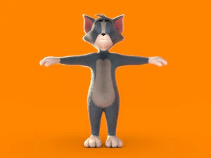 Tom rig a basso numero di poligoni Modello 3D