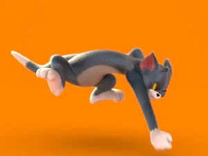 Tom rig a basso numero di poligoni Modello 3D