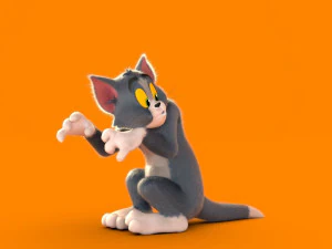 Tom rig a basso numero di poligoni Modello 3D