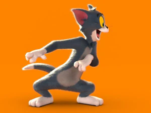 Tom rig a basso numero di poligoni Modello 3D