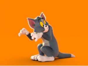 Tom rig a basso numero di poligoni Modello 3D