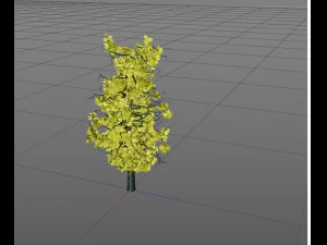 tree 3D Model