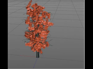 tree 3D Model