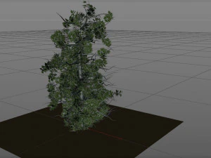 tree 3D Model
