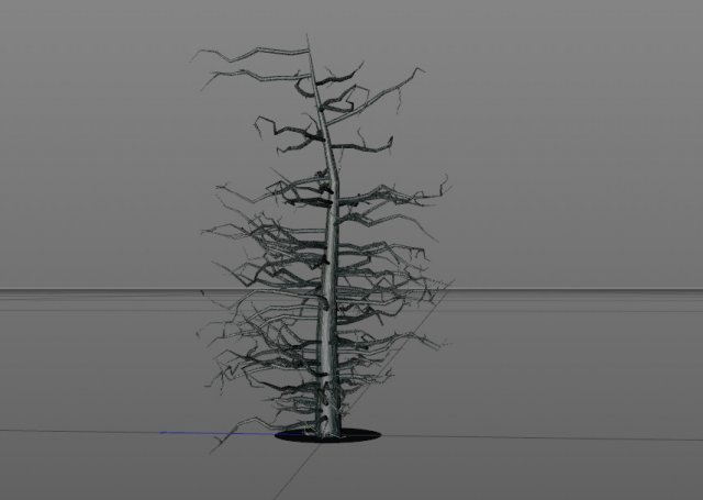 tree 3D Model .c4d .max .obj .3ds .fbx .stl .blend 