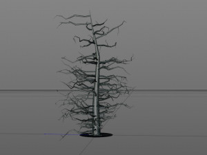 tree 3Dモデル