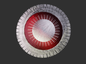 elegant christmas hat 3D 모델