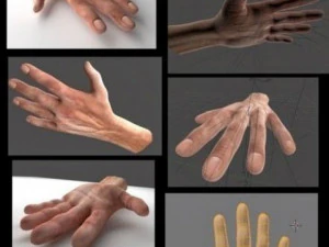 opgetuigde handen 3D Model