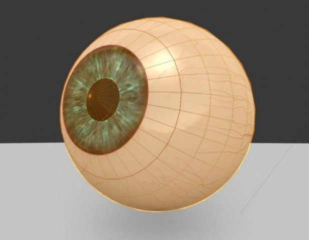 eyeball 3D 模型 .c4d .max .obj .3ds .fbx .stl .blend 