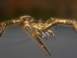 spider moving and ready to play 3D Model