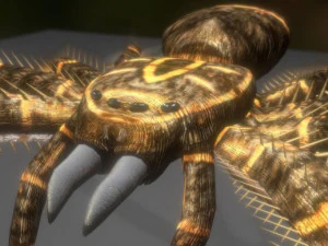 spider moving and ready to play 3D Model