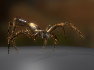 spider moving and ready to play 3D 模型