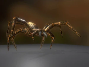 spider moving and ready to play 3D Model