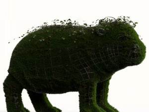 hippo grass 3D Модель