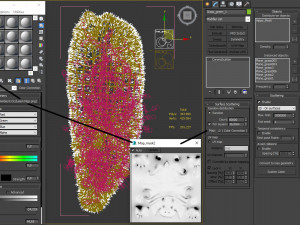 hippo grass 3D Модель