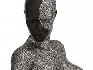 mannequin in crystals 3D 模型
