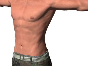 game ready character - animated soldier 3D Model