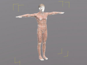 naked man-rigged 3d game character 3D Model