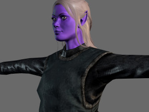 animated elf woman-rigged 3d game character Model 3D