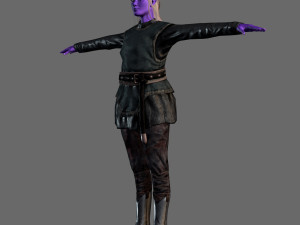 animated elf woman-rigged 3d game character Model 3D