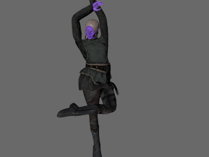 animated elf woman-rigged 3d game character Model 3D